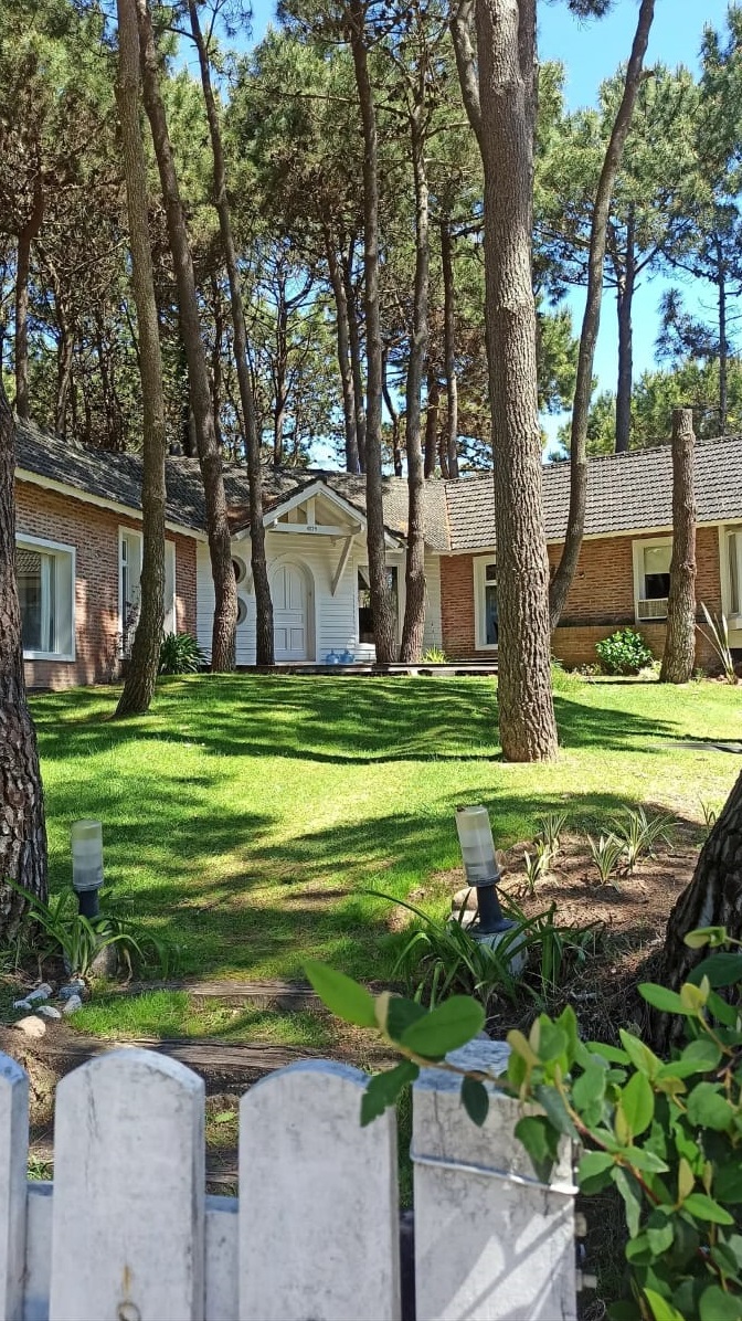 WhatsApp Image 2025-10-20 at 17.25.09.jpeg